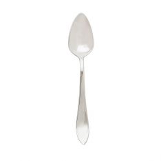 Ricci Contorno Stainless Tea Spoon